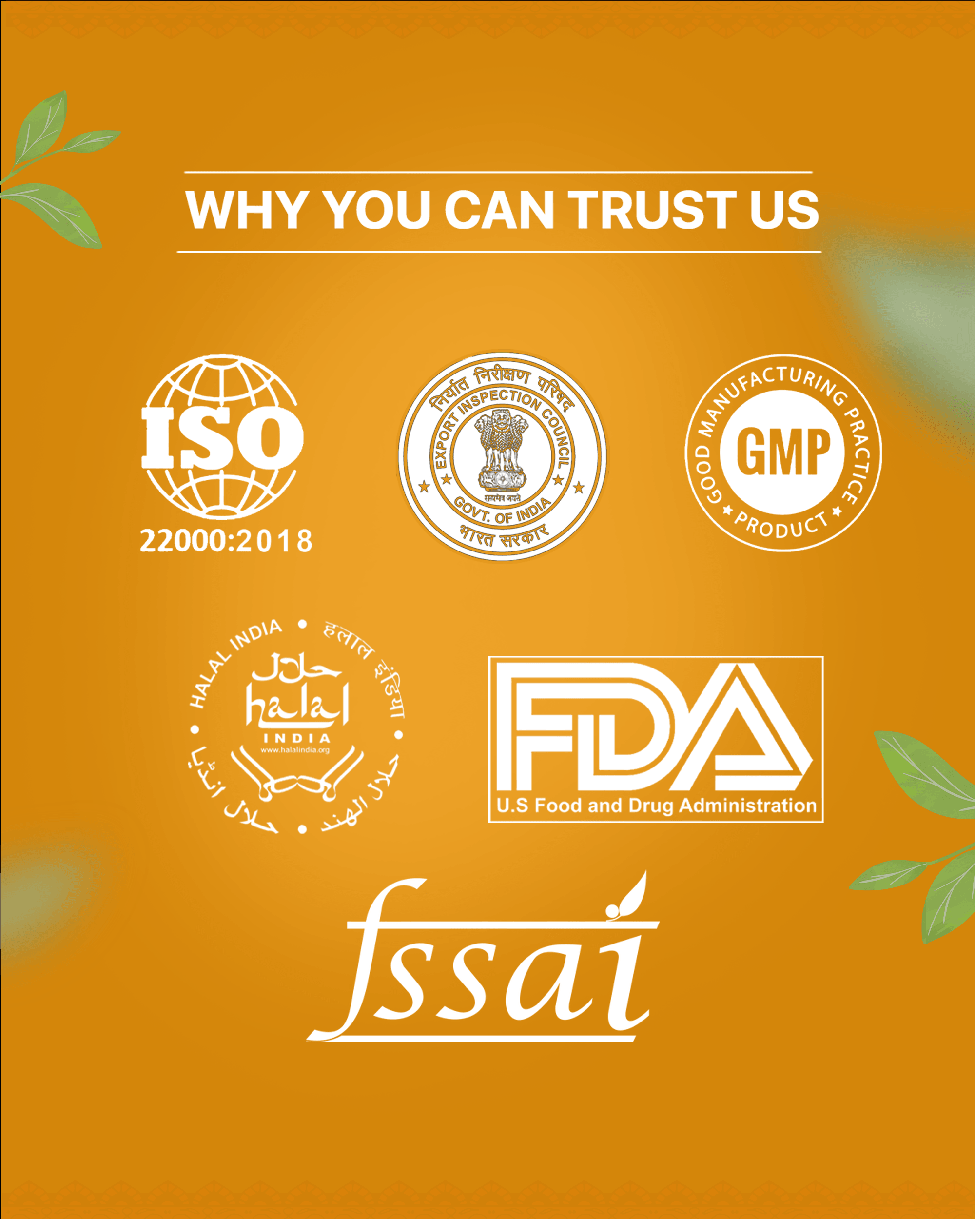 Shikhanji drink Splash (30 Sachet) - Chaizup